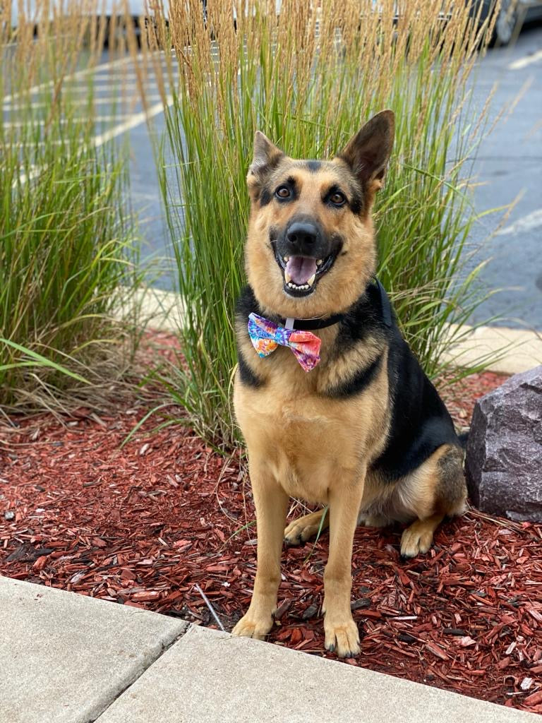 Peace Bow Tie